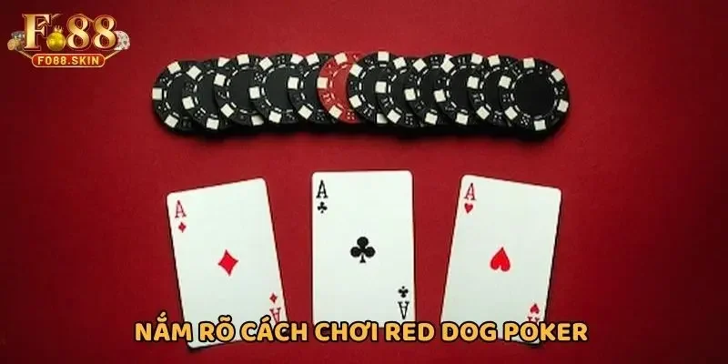 Nắm rõ cách đánh Red Dog Poker trực tuyến